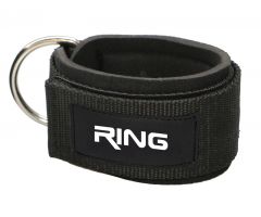 RING dodatak za članak-RX LEP-6401